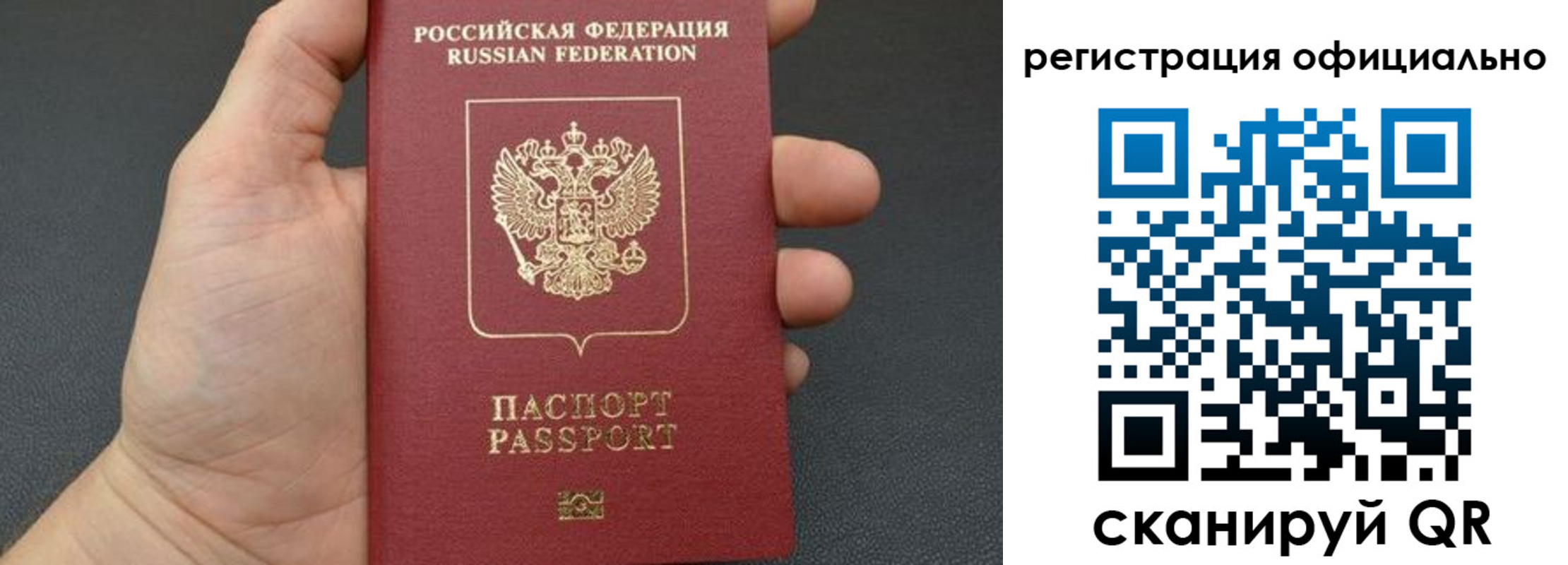 прописка в Судогде